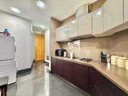 Belle Vue Residences (D9), Condominium #609638781